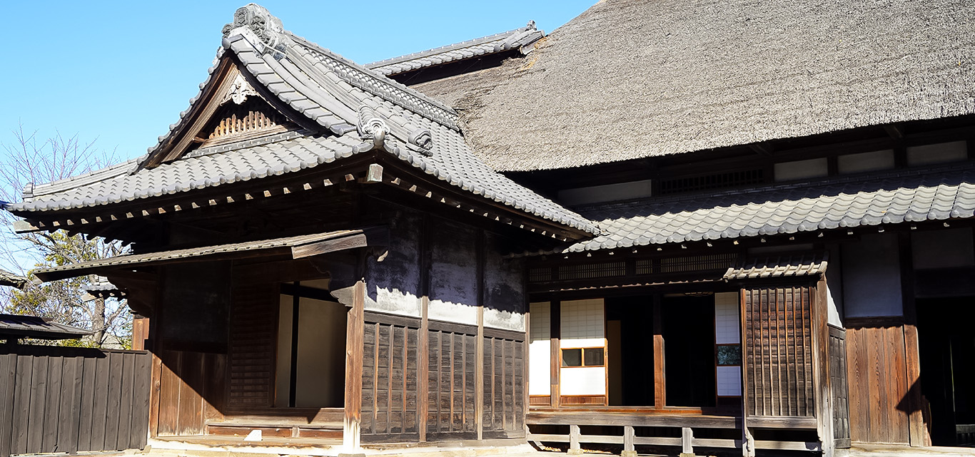 上空から見たびん沼自然公園・菜の花畑