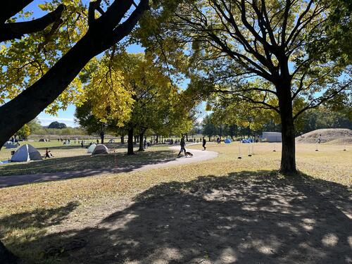 びん沼自然公園の秋のようす