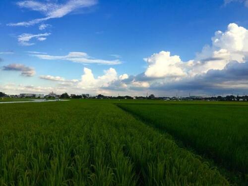 夏の空