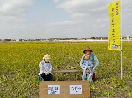 菜の花フェスタ会場