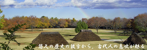 水子貝塚公園