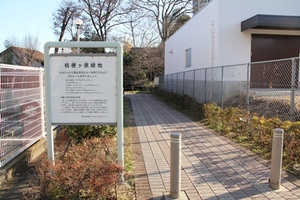 桔梗ケ原緑地公園1