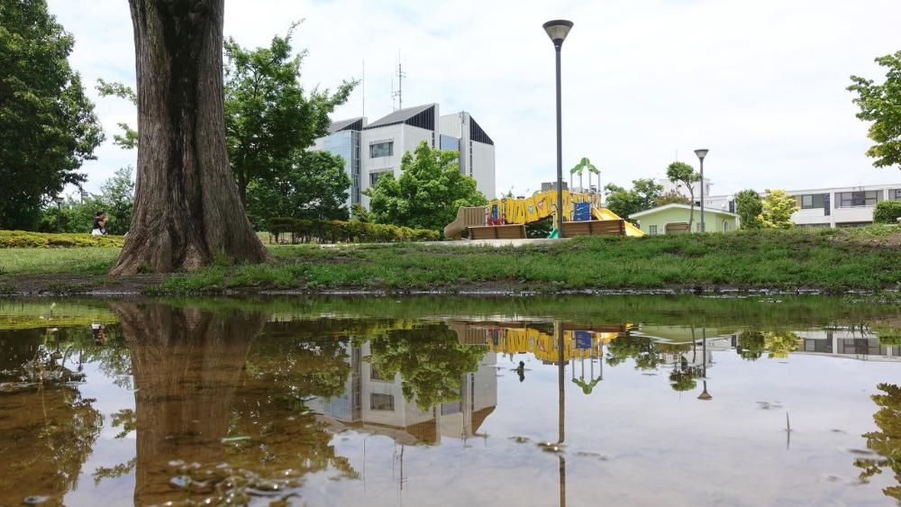 文化の杜公園　6月　大雨の後、文化の杜に出来た水たまりに映る第二庁舎が綺麗でした(古舘澄夫さん(市内在住)撮影)