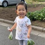 鶴馬一丁目　8月　大家さんが育てて無人販売している地元野菜。朝取りの新鮮なサヤエンドウが100円でとってもお買い得！（大澤玲美さん（市内在住））