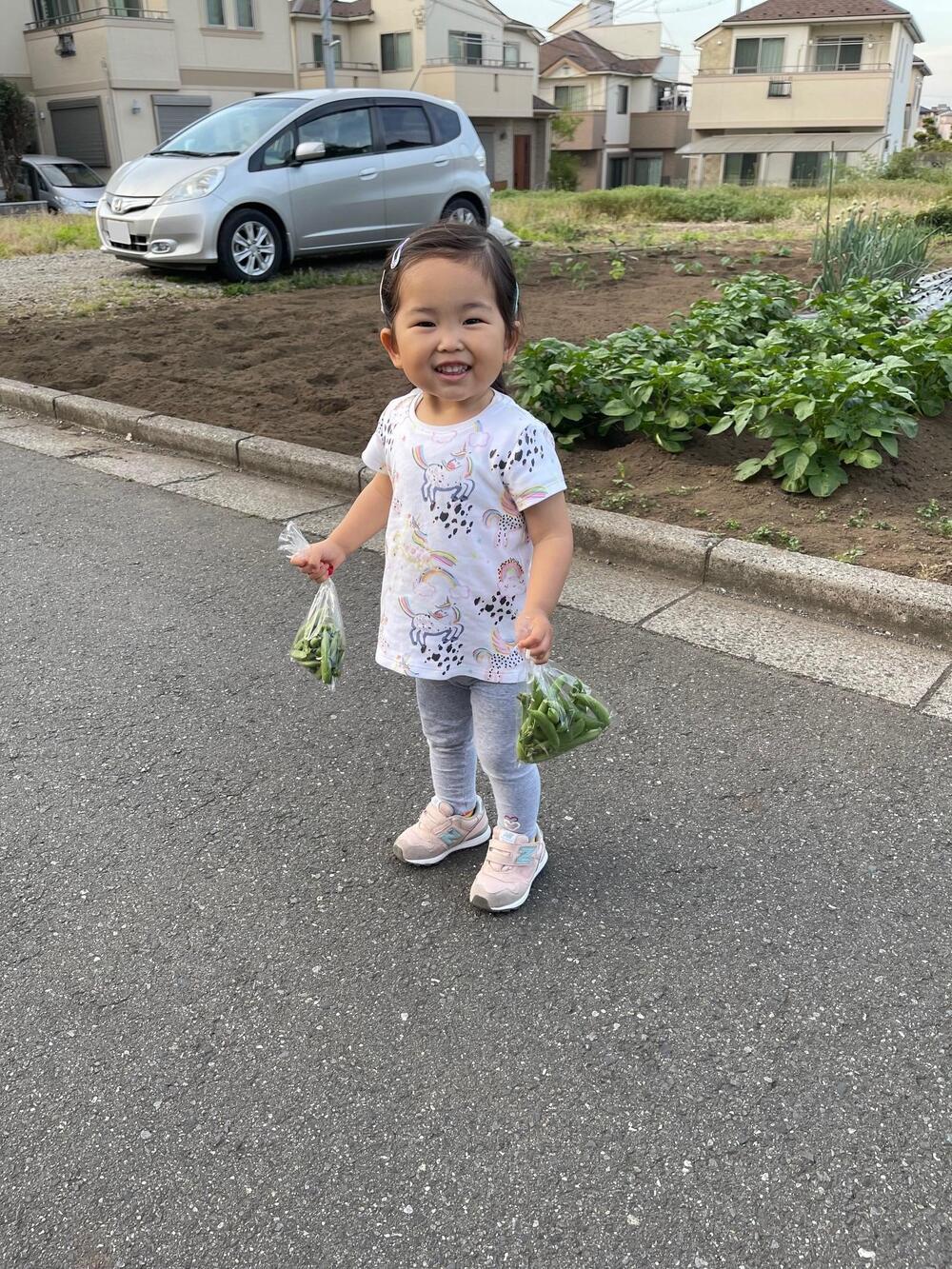 鶴馬一丁目　8月　大家さんが育てて無人販売している地元野菜。朝取りの新鮮なサヤエンドウが100円でとってもお買い得！（大澤玲美さん（市内在住））