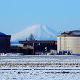 下南畑　2月　両側に建物を入れ真ん中に富士山入れてシャッターを切ったもの。富士見市らしい景色。（藤田興二さん（市内在住）撮影）