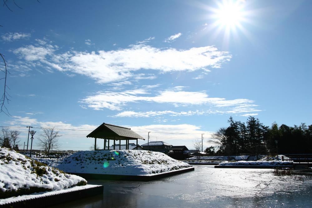 難波田城公園　2月（市広報撮影）