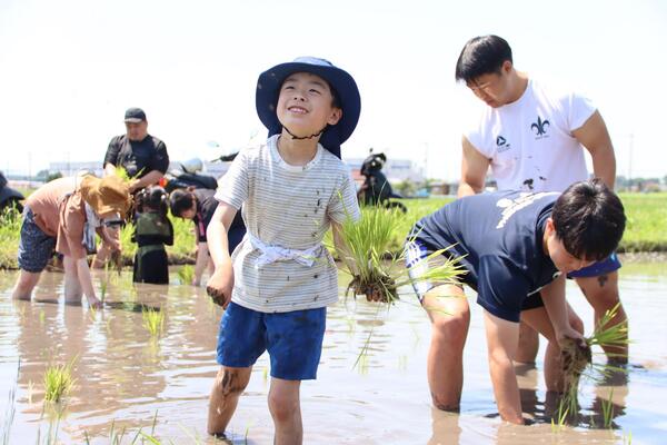 田植えのようす1