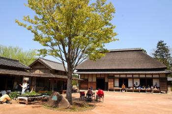 難波田城公園のようす