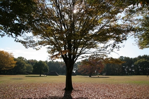 水子貝塚公園内