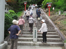 織姫神社階段途中